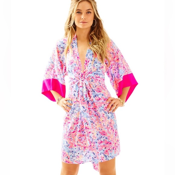 Lilly Pulitzer Dresses & Skirts - NWT rare Lilly Pulitzer Kimora Dress
